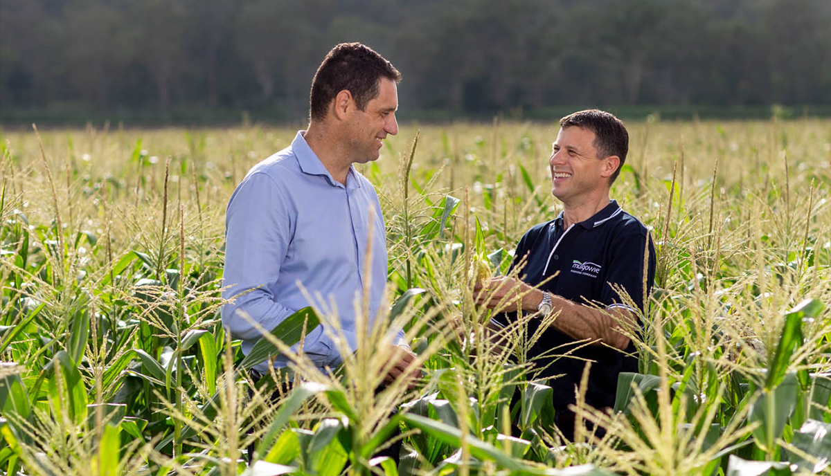 Rolf Larsen and Fabian Carniel talk in the middle of a wheat field