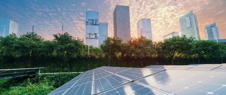 A field of green trees with solar panels sits in front of a city-scape