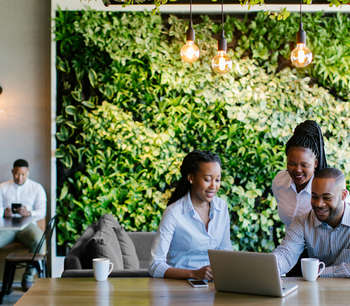 Three colleagues are gathered around a laptop, smiling, in front of a green, plant-filled wall with in a light and spacious breakout room. 