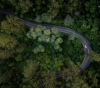 An aerial photo of a car driving through thick forest on a winding road