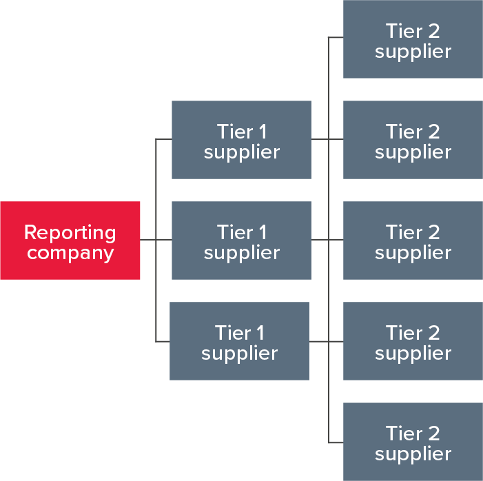 Tier 1 suppliers in a supply chain
