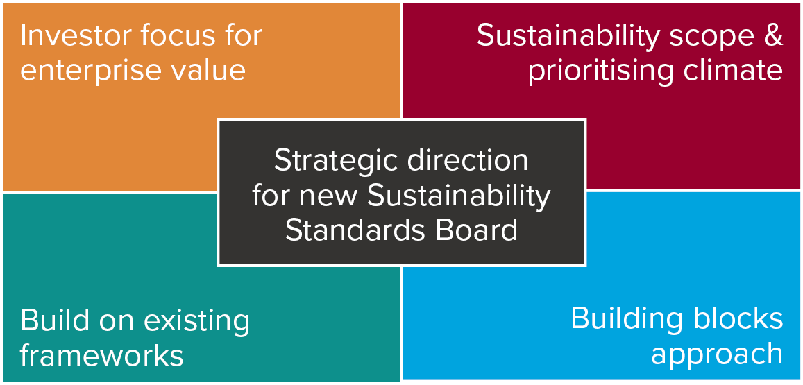 Sustainability Standards Board strategic direction