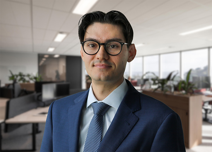 Josh La Verghetta - Risk advisory services. 