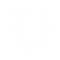 lightbulb icon