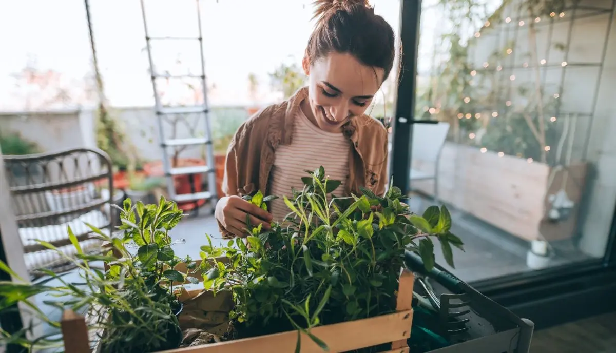 A woman is standing inside her apartment, smiling and looking down on a crate with luscious and thriving green plants. 