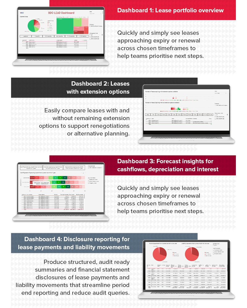 BDO Lead dashboard examples