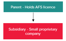 AASB 10 group structures