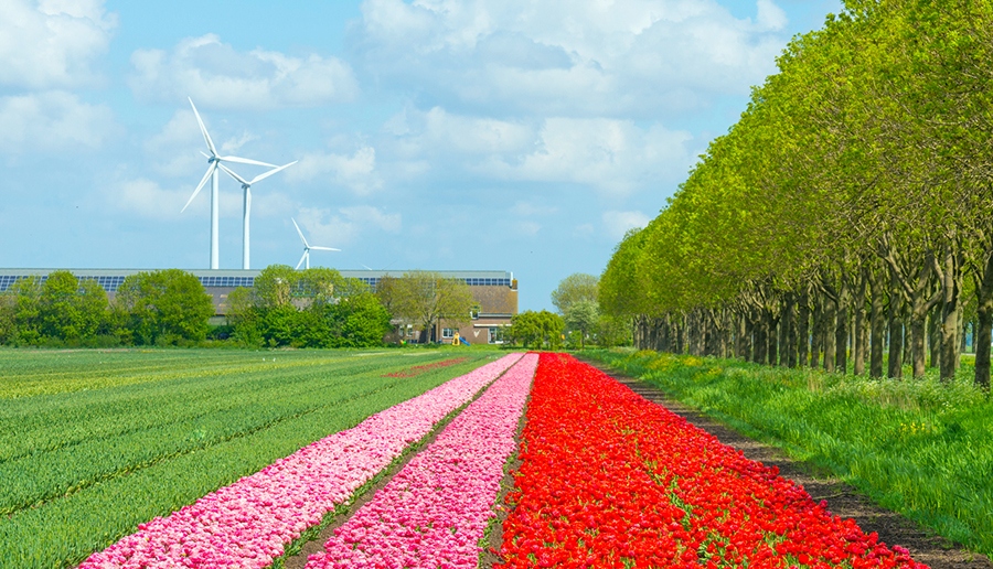 Sustainability Resources