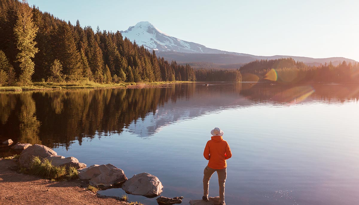ISSB signals the future of nature-related disclosures - BDO