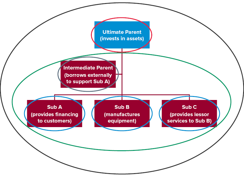Diagram of a separate reporting entity