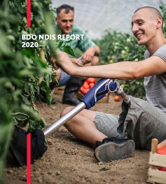 NDIS Report 2020