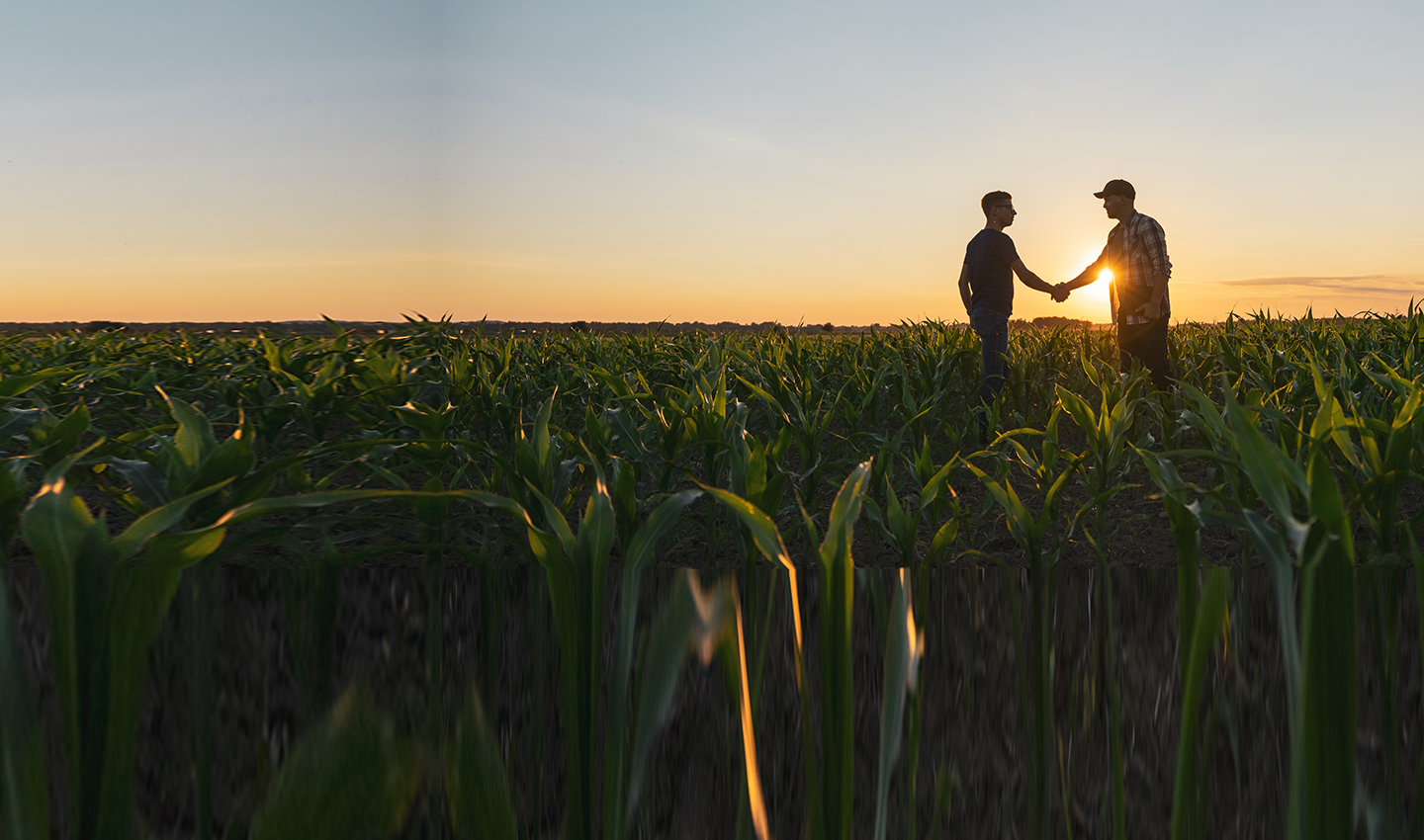 BDO's deal advisory services