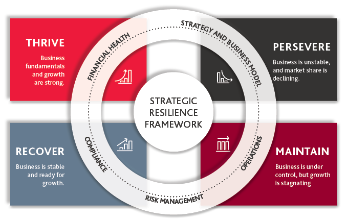 BDO's strategic framework