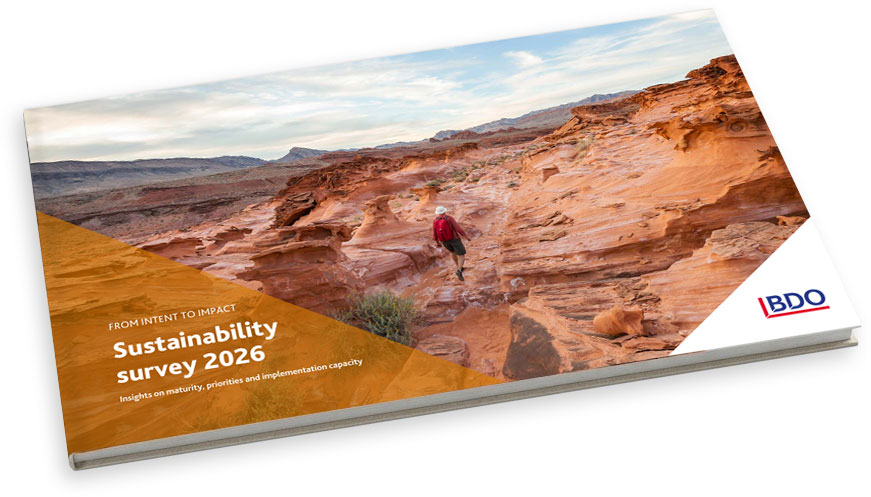 Global sustainability survey report thumbnail