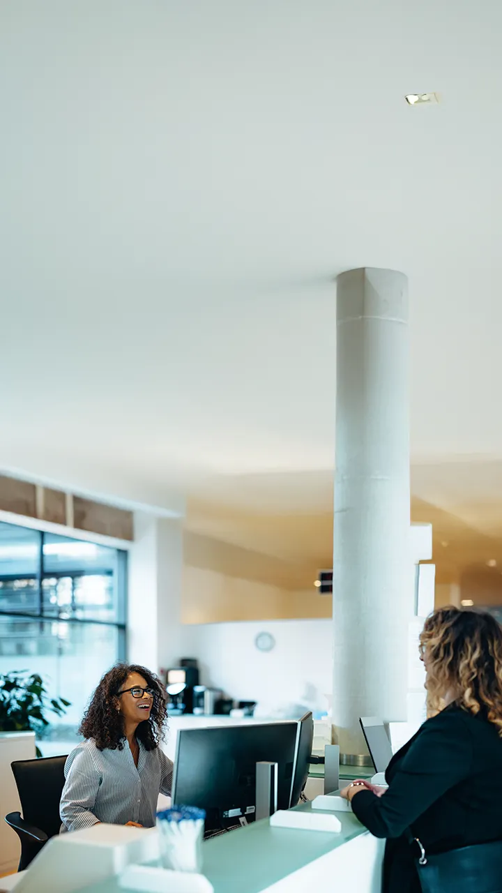 Public sector worker helps a client