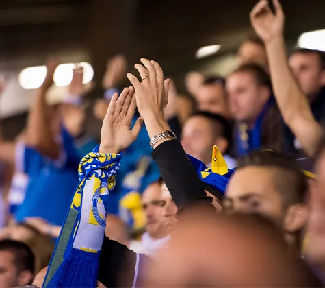 A crowd of sports fans clap