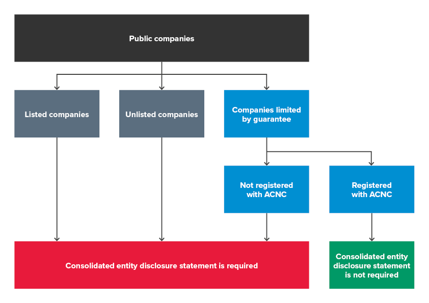 Is the consolidated entity disclosure statement required for all public companies?
